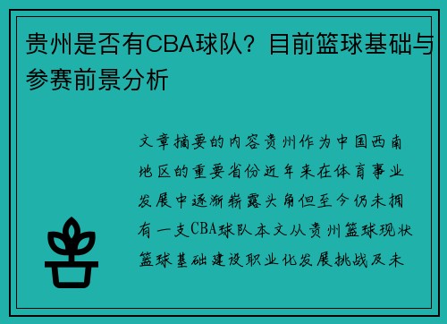 贵州是否有CBA球队？目前篮球基础与参赛前景分析